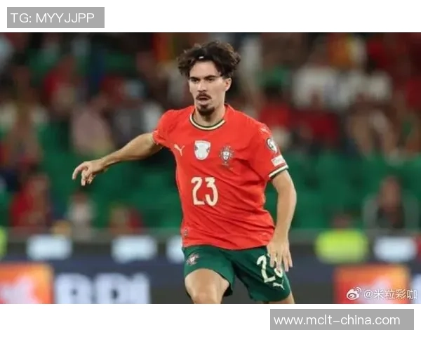 匈牙利足球明星的传奇故事与辉煌成就探秘